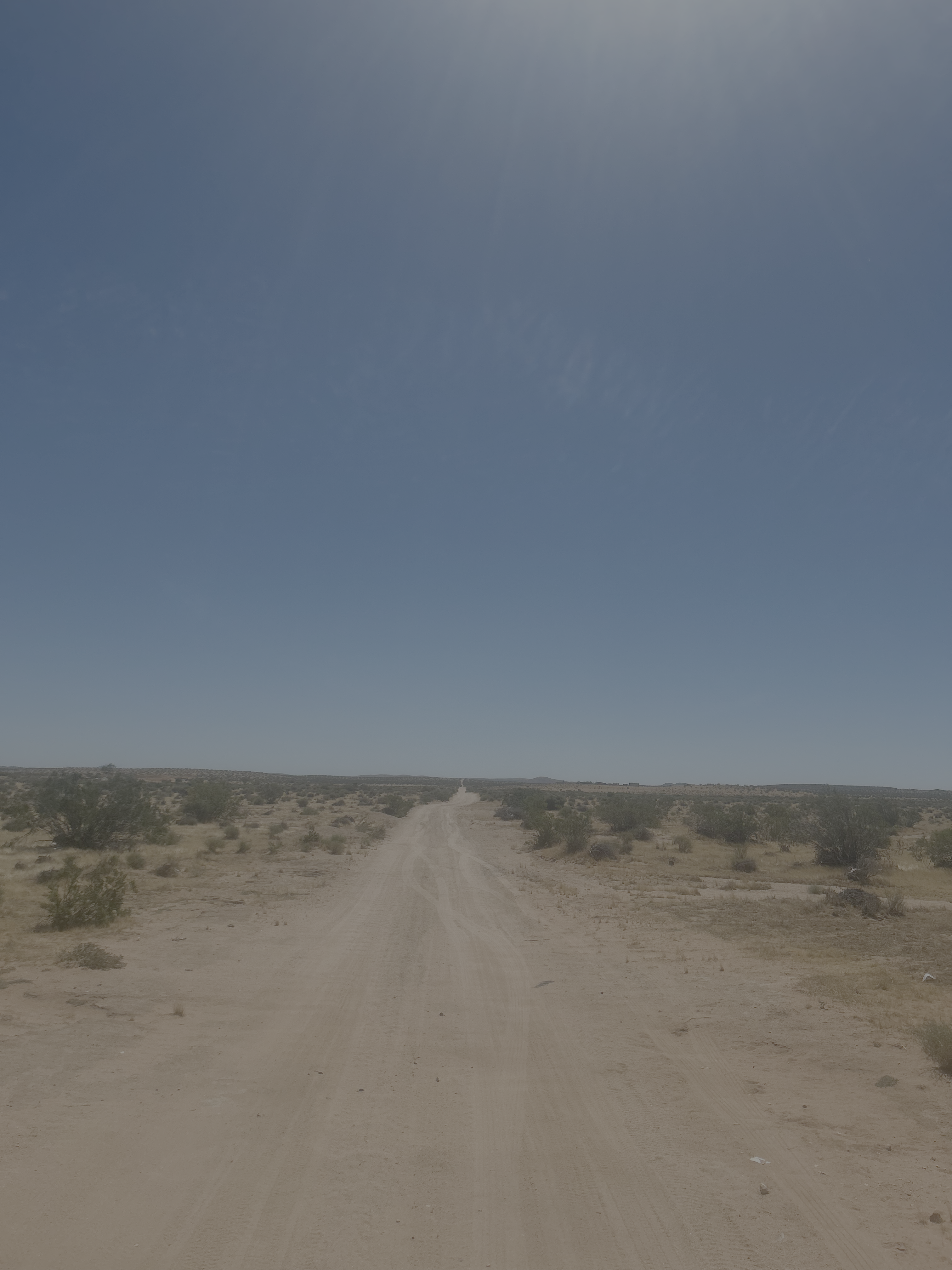 Dirt road leading into the Reid Premier Farms property