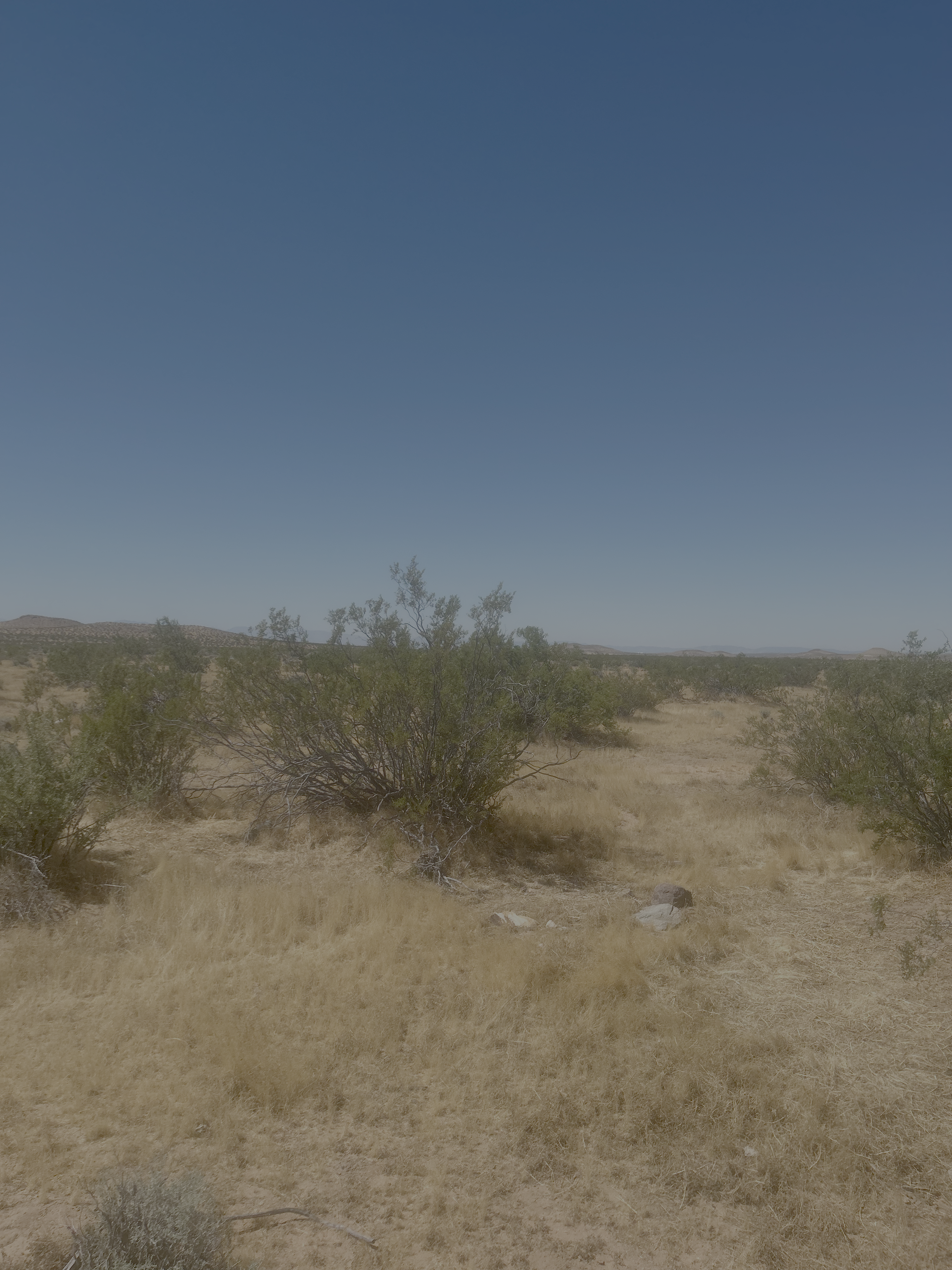Open desert landscape with distant mountains
